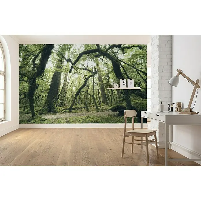 Komar Stefan Hefele Edition 2 Fototapete Ancient Green - 9 -tlg., B x H: 450 x 280 cm, Vlies - Fototapete "Grüner Wald" verwandelt Ihr Zuhause in eine beruhigende Waldlandschaft, ideal für Wohn- und Arbeitsbereiche.