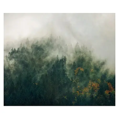 Komar Pure Fototapete Tales of the Carpathians