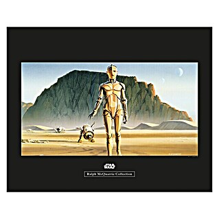 Komar Star Wars Poster RMQ Droids (Disney, B x H: 70 x 50 cm)