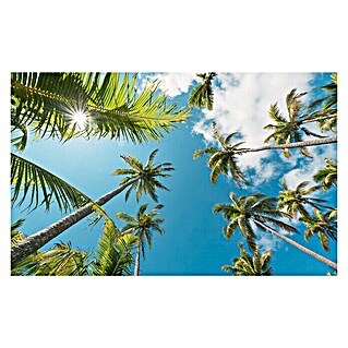 Komar Stefan Hefele Edition 2 Fototapete Coconut Heaven II (9 -tlg., B x H: 450 x 280 cm, Vlies)