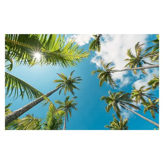 Komar Stefan Hefele Edition 2 Fototapete Coconut Heaven II - 9 -tlg., B x H: 450 x 280 cm, Vlies - Blick nach oben durch Palmenblätter hindurch, blauer Himmel mit Wolken und Sonnenschein für einen perfekten Urlaub.