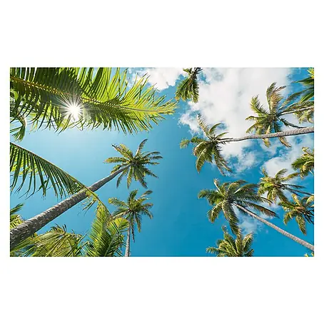 Komar Stefan Hefele Edition 2 Fototapete Coconut Heaven II