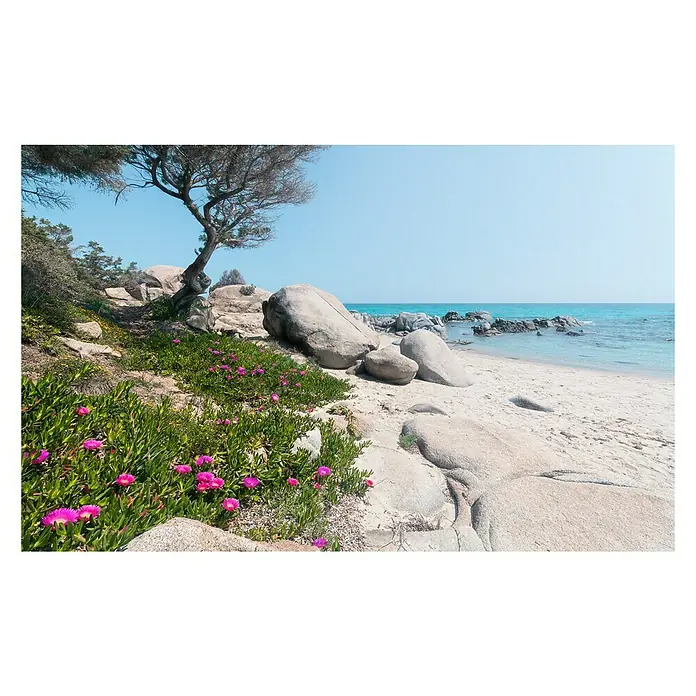 Komar Stefan Hefele Edition 2 Fototapete Mediterrane Träume - 9 -tlg., B x H: 450 x 280 cm, Vlies - Atemberaubende Küstenlandschaft mit Felsen, Vegetation und türkisfarbenem Wasser. Ein idyllischer Ort zum Entspannen und Genießen.