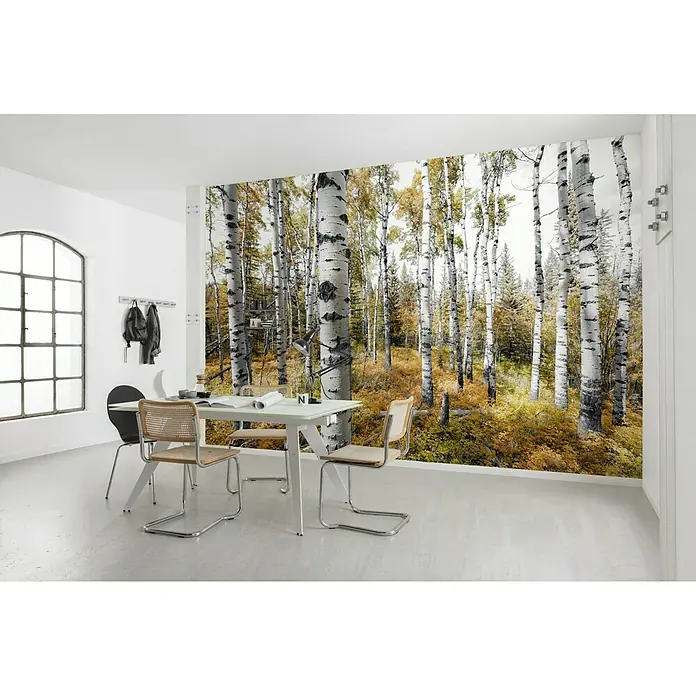 Komar Stefan Hefele Edition 2 Fototapete Colorful Aspenwoods - 9 -tlg., B x H: 450 x 280 cm, Vlies - Ein Esszimmer mit einem Esstisch und Stühlen, vor einer Tapete mit Birkenwaldmotiv.