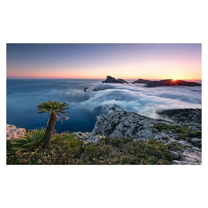 Komar Stefan Hefele Edition 2 Fototapete Island Paradise - 9 -tlg., B x H: 450 x 280 cm, Vlies - Atemberaubende Aussicht von einer Klippe mit Meer, Wolken und Sonnenaufgang. Ein Palmenbaum steht im Vordergrund.