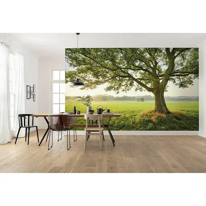Komar Stefan Hefele Edition 2 Fototapete The Magic Tree - 9 -tlg., B x H: 450 x 280 cm, Vlies - Wandbild mit Baum im Wohnzimmer. Helles, offenes Interieur mit Holztisch und Stühlen vor einer großen Baumtapete.