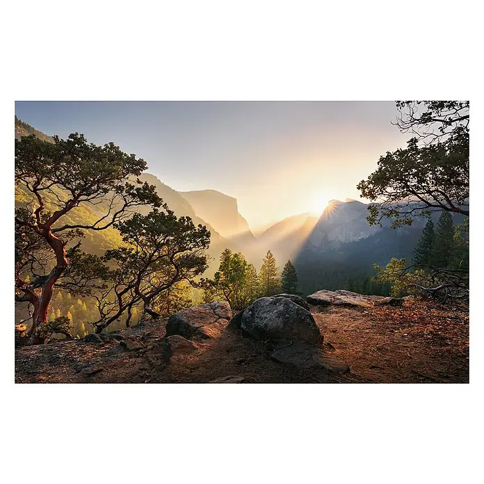 Komar Stefan Hefele Edition 2 Fototapete Yosemites Secret - 9 -tlg., B x H: 450 x 280 cm, Vlies - Spektakuläre Aussicht auf Yosemite bei Sonnenaufgang. Das warme Licht erhellt die majestätischen Berge und die üppige Landschaft.