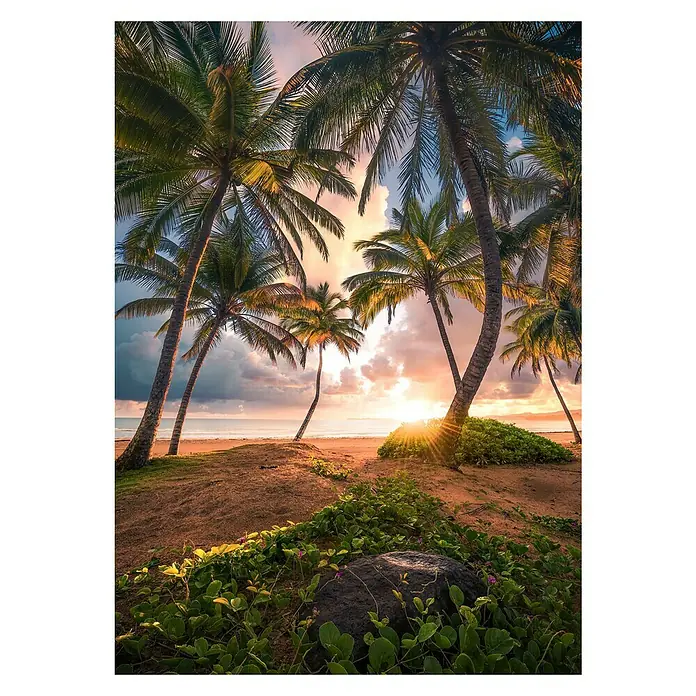 Komar Stefan Hefele Edition 2 Fototapete Vertical Paradise - 4 -tlg., B x H: 200 x 280 cm, Vlies - Sonnenaufgang am tropischen Strand mit Palmen und üppiger Vegetation im Vordergrund, der die natürliche Schönheit hervorhebt.