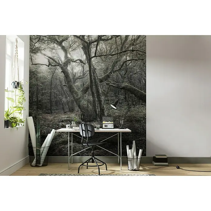 Komar Stefan Hefele Edition 2 Fototapete Das Model - 5 -tlg., B x H: 250 x 280 cm, Vlies - Zimmer mit einem Schreibtisch vor einer Waldtapete, der eine ruhige und natürliche Arbeitsumgebung schafft.