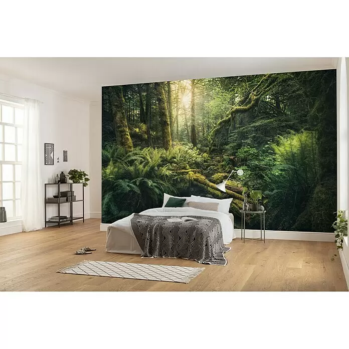 Komar Stefan Hefele Edition 2 Fototapete Elves Cathedral - 9 -tlg., B x H: 450 x 280 cm, Vlies - Üppige grüne Waldtapete mit Sonnenstrahlen, die moosbewachsene Bäume und Farne an einer Schlafzimmerwand beleuchten.