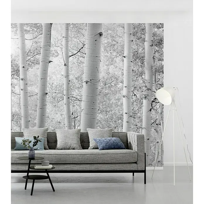Komar Stefan Hefele Edition 2 Fototapete Espenwald - 9 -tlg., B x H: 450 x 280 cm, Vlies - Graues Sofa mit Kissen vor einer Birkenwald-Tapete. Eine Stehlampe steht rechts. Moderne Raumgestaltung mit Naturmotiv.