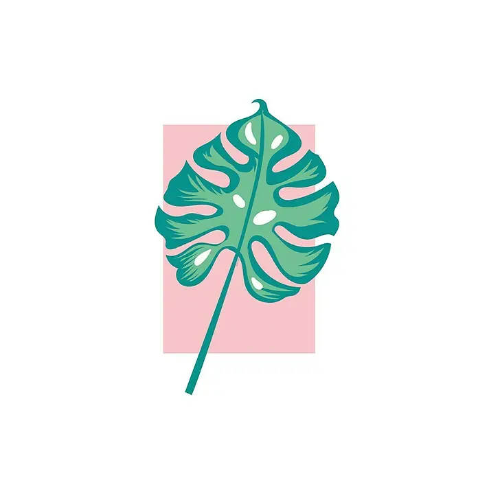Komar Disney Edition 4 Poster Minnie Mouse Leaf - Disney, B x H: 50 x 70 cm - Illustration eines grünen Monstera-Blattes mit rosa Hintergrund, ideal für moderne Wandkunst und tropische Dekoration.