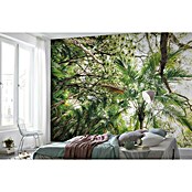 Komar Stefan Hefele Edition 2 Fototapete Touch the Jungle (9-tlg., 450 x 280 cm, Vlies)