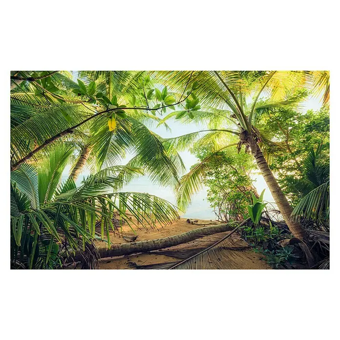 Komar Stefan Hefele Edition 2 Fototapete Piratenversteck - 9 -tlg., B x H: 450 x 280 cm, Vlies - Blick auf einen Strand mit Palmen, die einen tropischen Rahmen bilden. Das ruhige Wasser des Meeres ist durch das dichte Grün sichtbar.