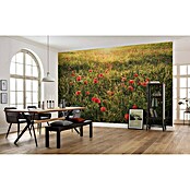 Komar Stefan Hefele Edition 2 Fototapete Poppy World (450 x 280 cm, Vlies)