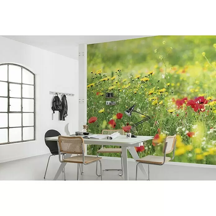 Komar Stefan Hefele Edition 2 Fototapete Wiesenzauber II - 9 -tlg., B x H: 450 x 280 cm, Vlies - Stimmungsaufnahme