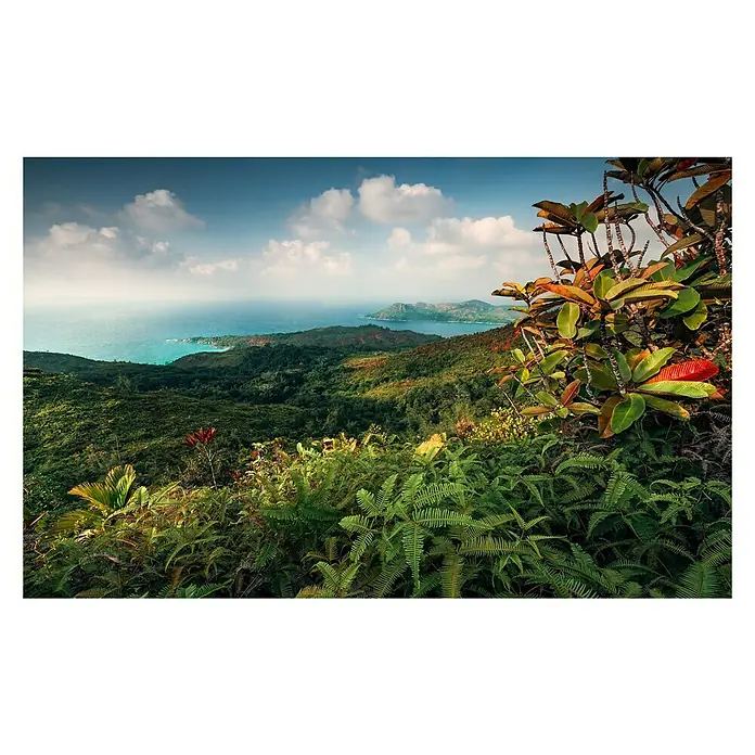 Komar Stefan Hefele Edition 2 Fototapete Heavens Balcony - 9 -tlg., B x H: 450 x 280 cm, Vlies - Tropische Landschaft mit üppiger Vegetation, Blick auf das Meer und den blauen Himmel. Exotische Pflanzen dominieren die Szene.