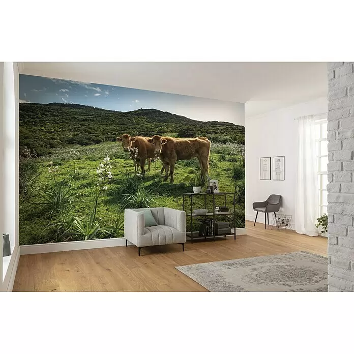 Komar Stefan Hefele Edition 2 Fototapete Kuhparadies - 9 -tlg., B x H: 450 x 280 cm, Vlies - Stimmungsaufnahme