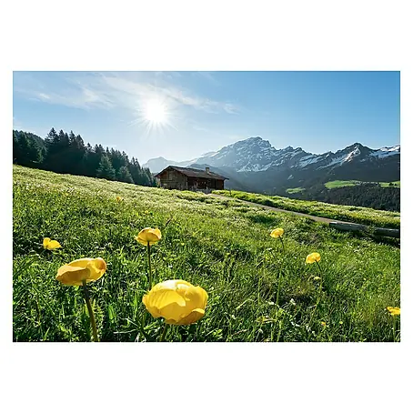 Komar Stefan Hefele Edition 2 Fototapete Alpenglück