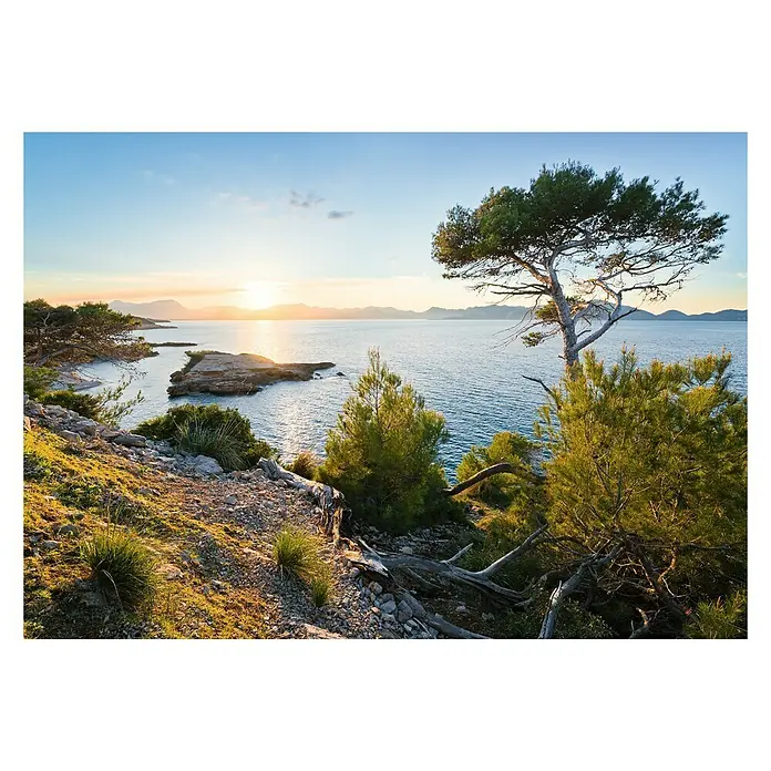 Komar Stefan Hefele Edition 2 Fototapete Licht des Südens - 8 -tlg., B x H: 400 x 280 cm, Vlies - Sonnenuntergang über dem Meer, gesehen von einer felsigen Küste mit Bäumen. Die warmen Farben des Sonnenuntergangs spiegeln sich im Wasser.
