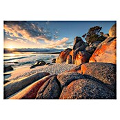 Komar Stefan Hefele Edition 2 Fototapete Bay of Fires (400 x 280 cm, Vlies)