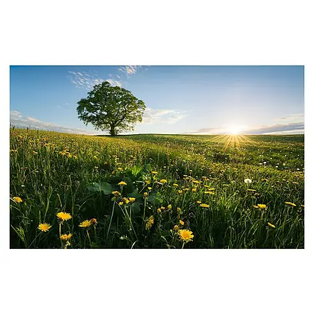 Komar Stefan Hefele Edition 2 Fototapete Frühling auf dem Land
