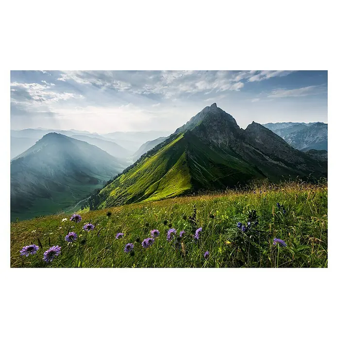 Komar Stefan Hefele Edition 2 Fototapete The Green Queen - 9 -tlg., B x H: 450 x 280 cm, Vlies - Malerische Berglandschaft mit grünen Hängen, lila Blumen im Vordergrund und einem nebligen Tal im Hintergrund.