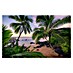 Komar Stefan Hefele Edition 2 Fototapete Hawaiian Dreams 