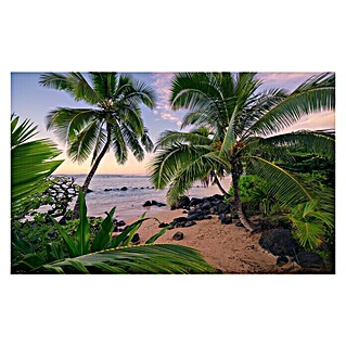Komar Stefan Hefele Edition 2 Fototapete Hawaiian Dreams (9 -tlg., B x H: 450 x 280 cm, Vlies)