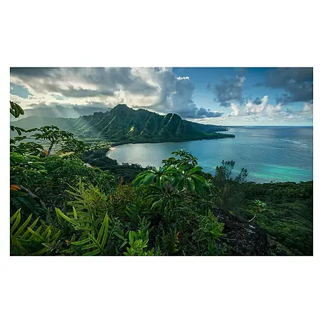 Komar Stefan Hefele Edition 2 Fototapete Jurassic Island
