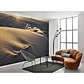 Komar Stefan Hefele Edition 2 Fototapete Mojave Heights (450 x 280 cm, Vlies)