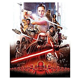 Komar Star Wars Poster Movie Poster Rey (Disney, B x H: 50 x 70 cm)