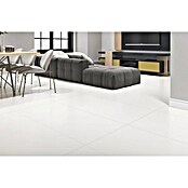 BHS Showroom Porculanska pločica (60 x 120 cm, null)