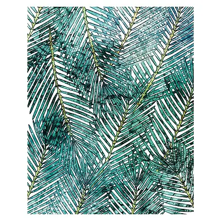 Komar Pure Fototapete Palm Canopy