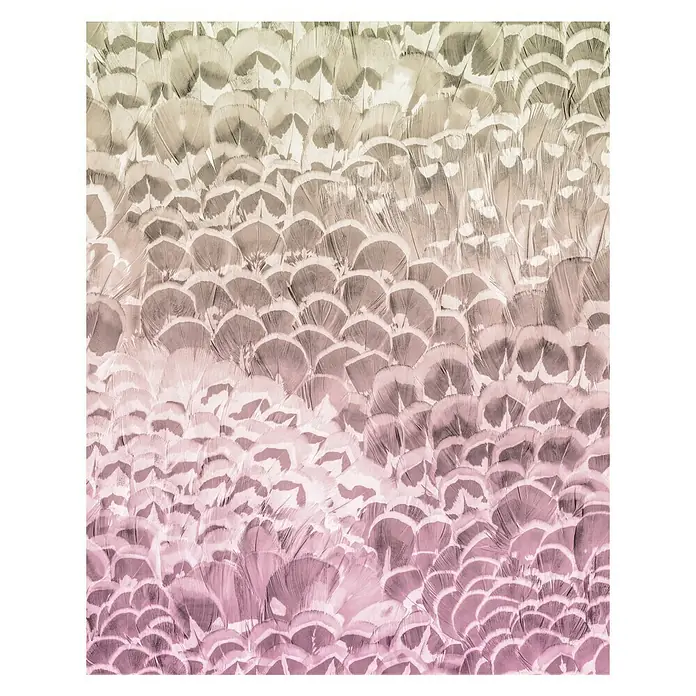 Komar Pure Fototapete Pale Feathers - 2 -tlg., B x H: 200 x 250 cm, Vlies - Nahaufnahme einer ästhetisch ansprechenden Federstruktur in sanften Farbverläufen.