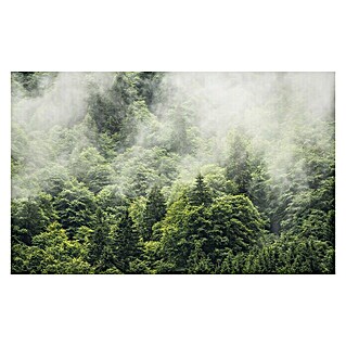 Komar Stefan Hefele Edition 1 Fototapete Forest Land (4 -tlg., B x H: 400 x 250 cm, Vlies)