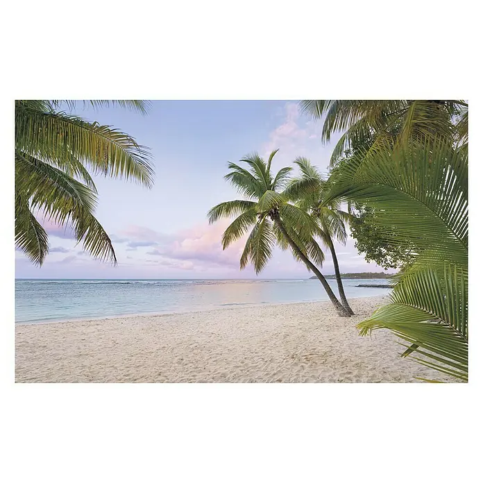 Komar Stefan Hefele Edition 1 Fototapete Paradise Morning - 4 -tlg., B x H: 400 x 250 cm, Vlies - Ein ruhiger Strand mit Palmen unter einem sanften Himmel. Ideal für Entspannung und Erholung pur am Meer.