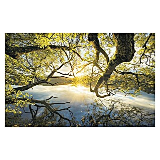 Komar Stefan Hefele Edition 1 Fototapete Golden Embrace (4 -tlg., B x H: 400 x 250 cm, Vlies)