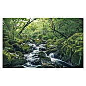 Komar Stefan Hefele Edition 1 Fototapete Green Tales (4-tlg., 400 x 250 cm, Vlies)