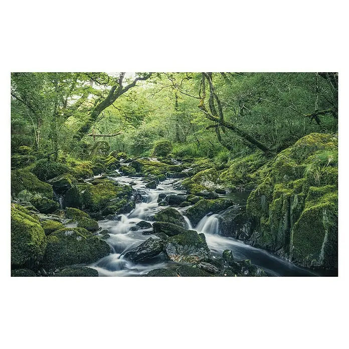 Komar Stefan Hefele Edition 1 Fototapete Green Tales - 4 -tlg., B x H: 400 x 250 cm, Vlies - Aufnahme eines Baches, der über moosbedeckte Felsen fließt, umgeben von üppigem Grün. Das fließende Wasser erzeugt einen sanften, beruhigenden Effekt.