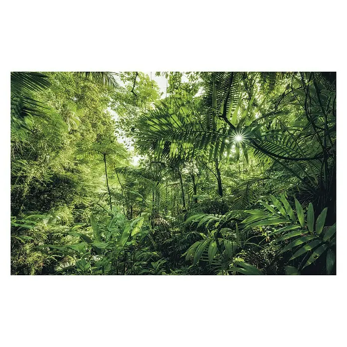 Komar Stefan Hefele Edition 1 Fototapete Into the Jungle - 4 -tlg., B x H: 400 x 250 cm, Vlies - Dichter, grüner Dschungel mit Sonnenstrahlen, die durch das dichte Blätterdach scheinen. Ein üppiger, natürlicher Lebensraum voller Leben.