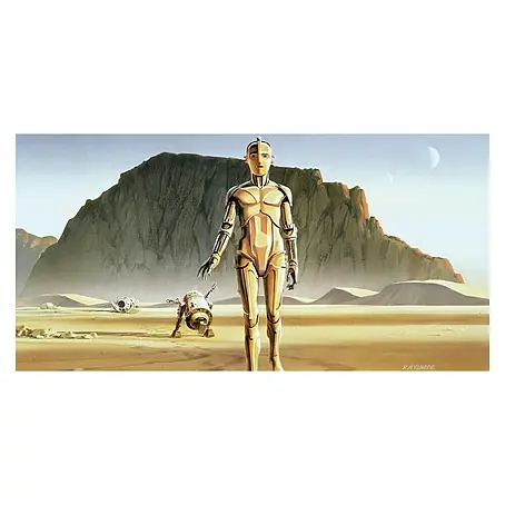 Komar Star Wars Fototapete Droids