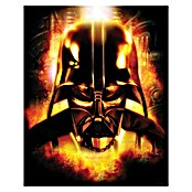 Komar Star Wars Wandbild (30 x 40 cm, Vlies)