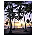 Komar Stefan Hefele Edition 1 Fototapete Palmtrees on Beach 