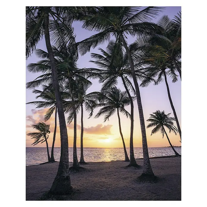 Komar Stefan Hefele Edition 1 Fototapete Palmtrees on Beach - 2 -tlg., B x H: 200 x 250 cm, Vlies - Palmen säumen den Strand bei Sonnenuntergang und bieten einen atemberaubenden Blick aufs Meer. Die Ruhe des tropischen Paradieses ist spürbar.