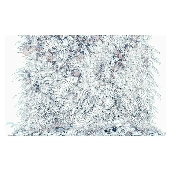 Komar Pure Fototapete Vertical Garden - 4 -tlg., B x H: 400 x 250 cm, Vlies - Nahaufnahme einer Wand mit vielen Pflanzen und Farnen, die ein üppiges, weißes, botanisches Wandbild erzeugen.