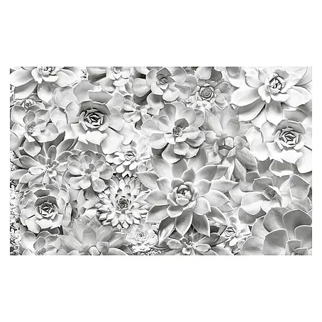 Komar Pure Fototapete Shades Black and White
