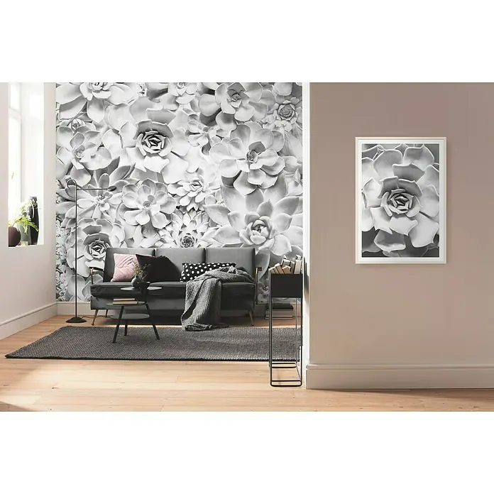 Komar Pure Fototapete Shades Black and White - 4 -tlg., B x H: 400 x 250 cm, Vlies - Ein Wohnzimmer mit einer großen Sukkulenten-Tapete und einem passenden gerahmten Druck an der Wand.