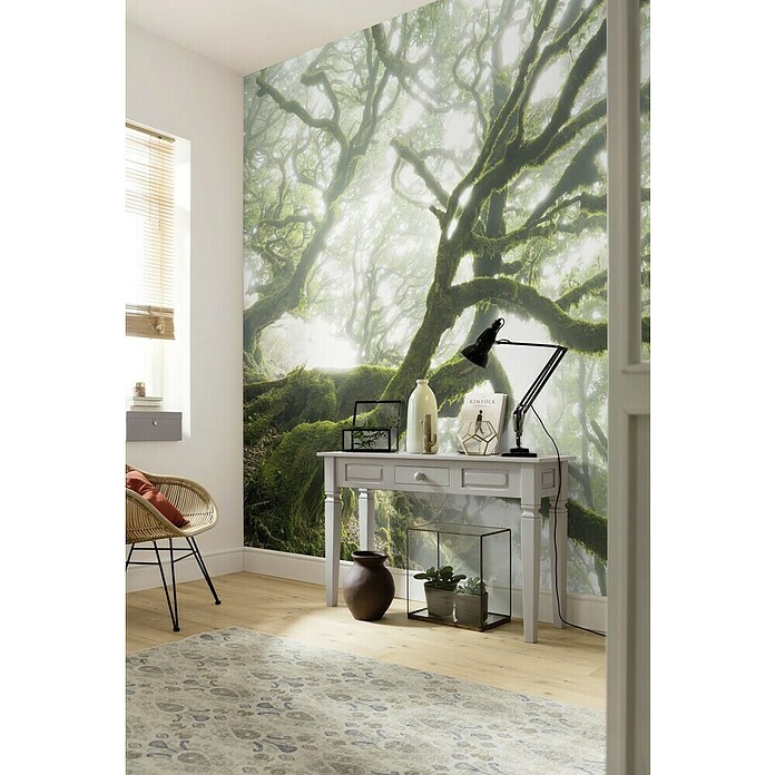 Komar Pure Fototapete (4-tlg., 400 x 250 cm, Vlies)