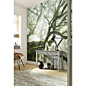 Komar Pure Fototapete (4-tlg., 400 x 250 cm, Vlies)